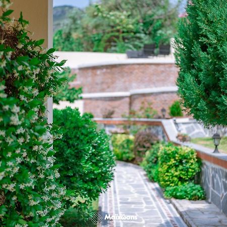 Helianthos Villa - Apartment No4 PalaiónTsiflíkion Dış mekan fotoğraf
