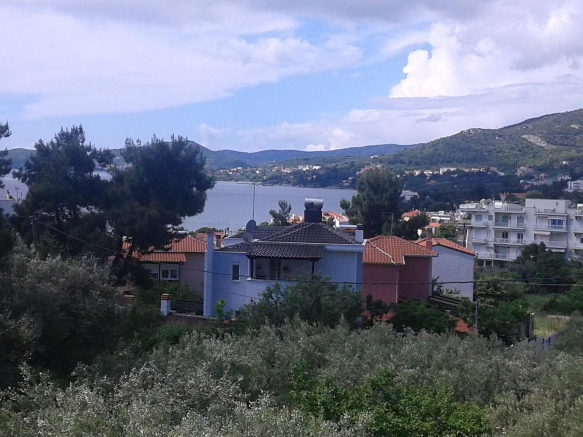 Helianthos Villa - Apartment No4 PalaiónTsiflíkion Dış mekan fotoğraf