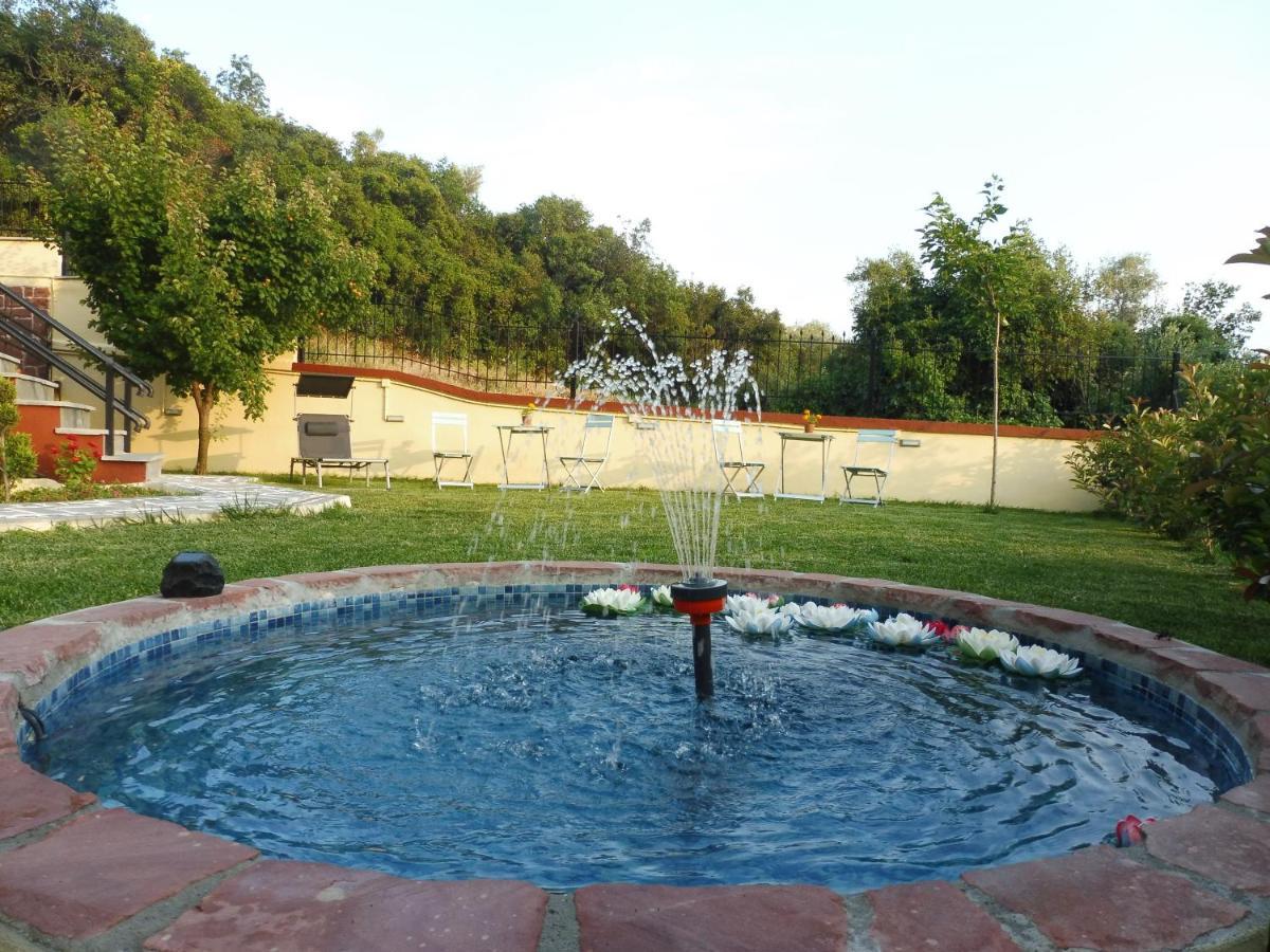 Helianthos Villa - Apartment No4 PalaiónTsiflíkion Dış mekan fotoğraf